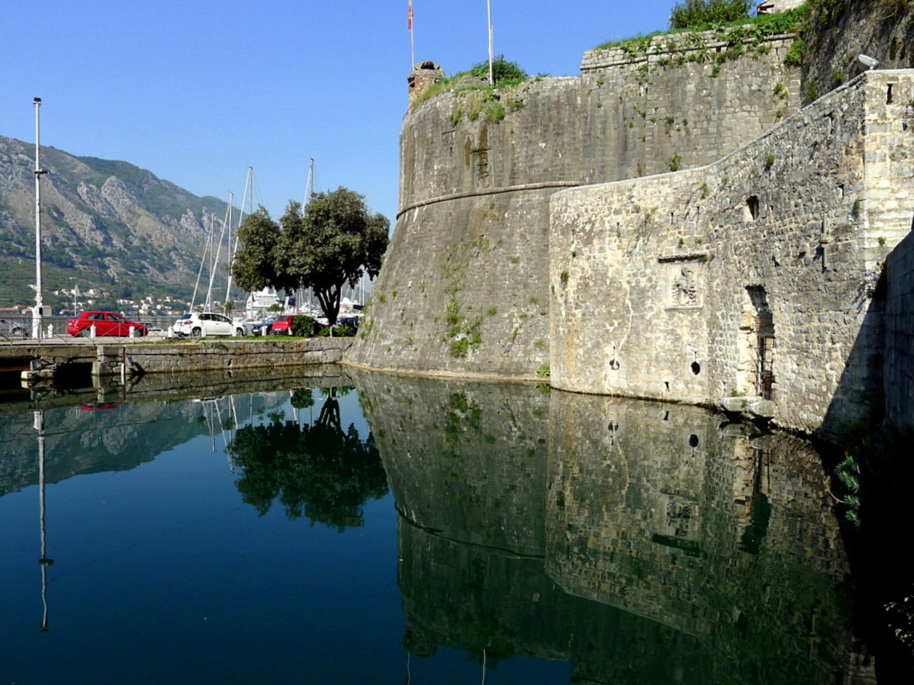 Kotor
